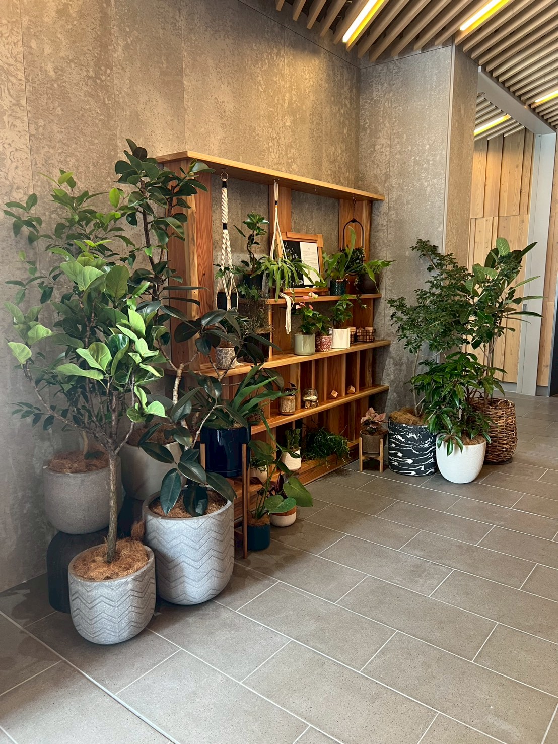 コンフォリア・リヴ本町WEST Q - 画像15