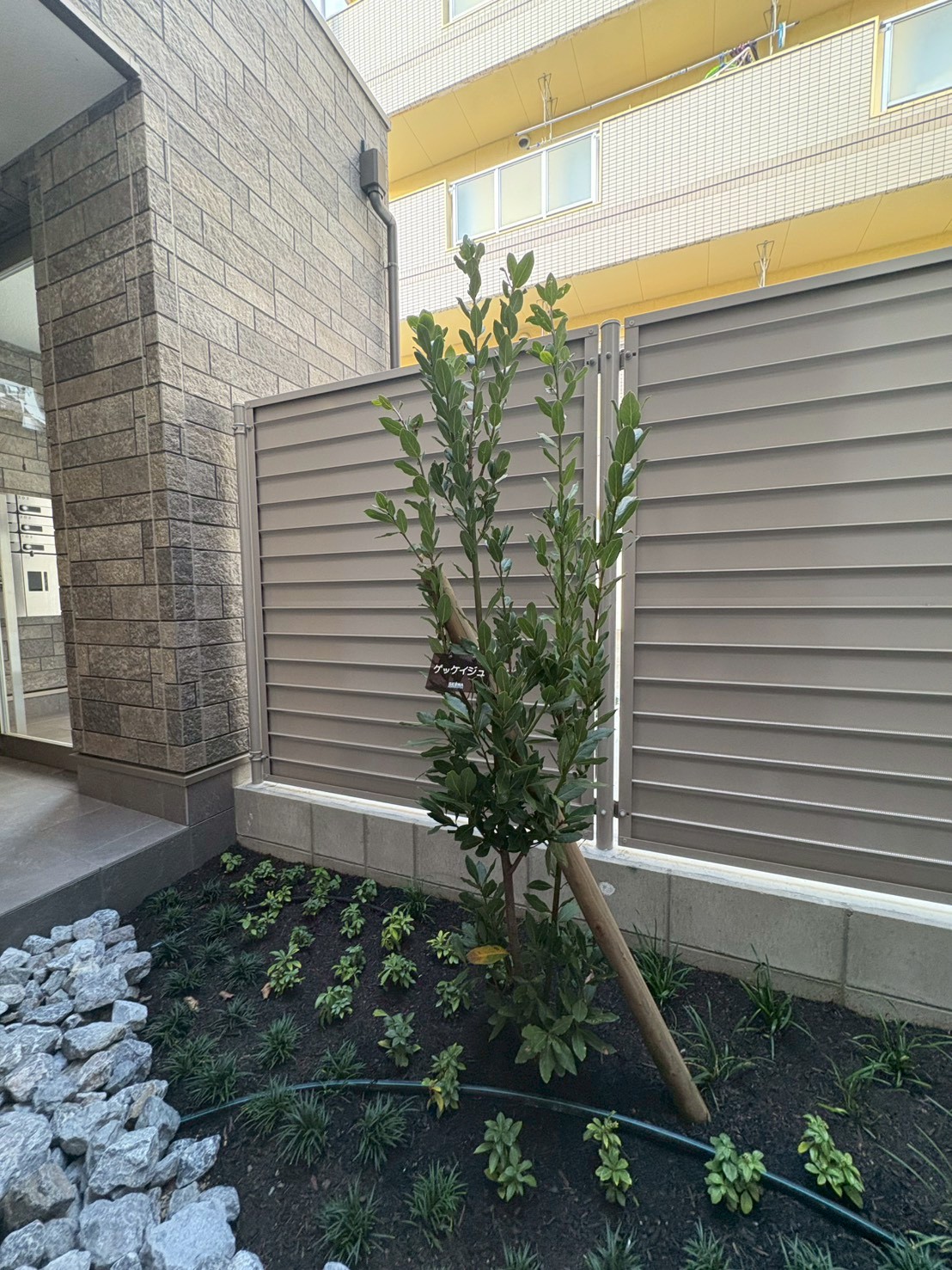 SOUTH COAT - 画像16