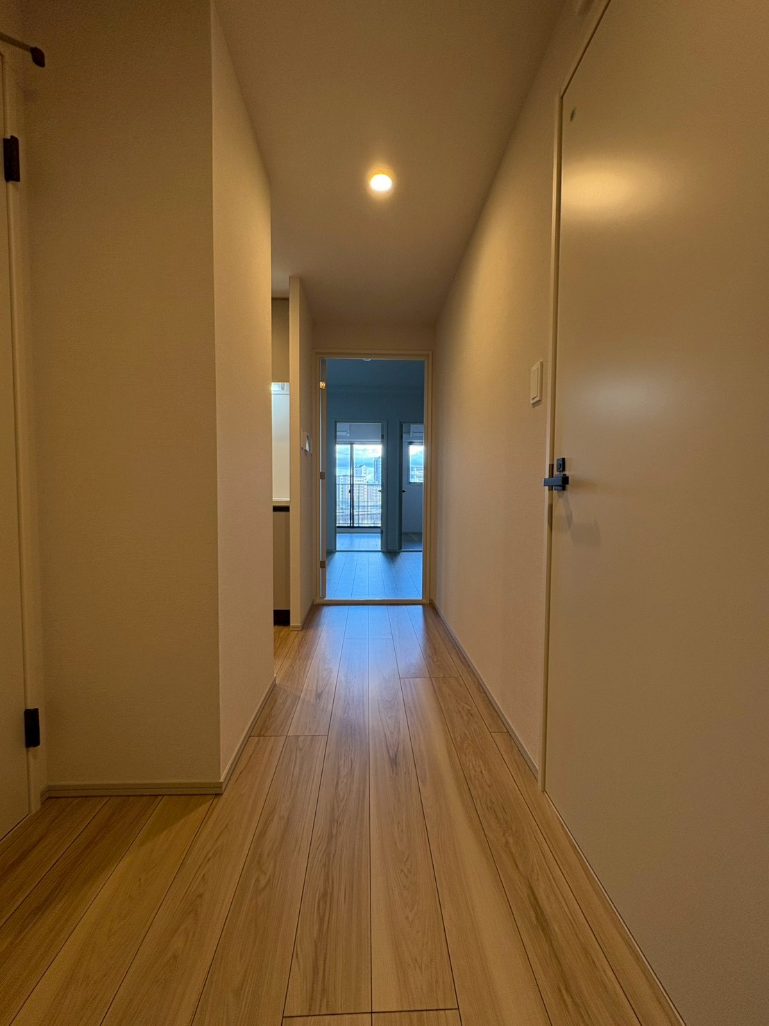 No,125 THE MUSIC COURT - 画像2