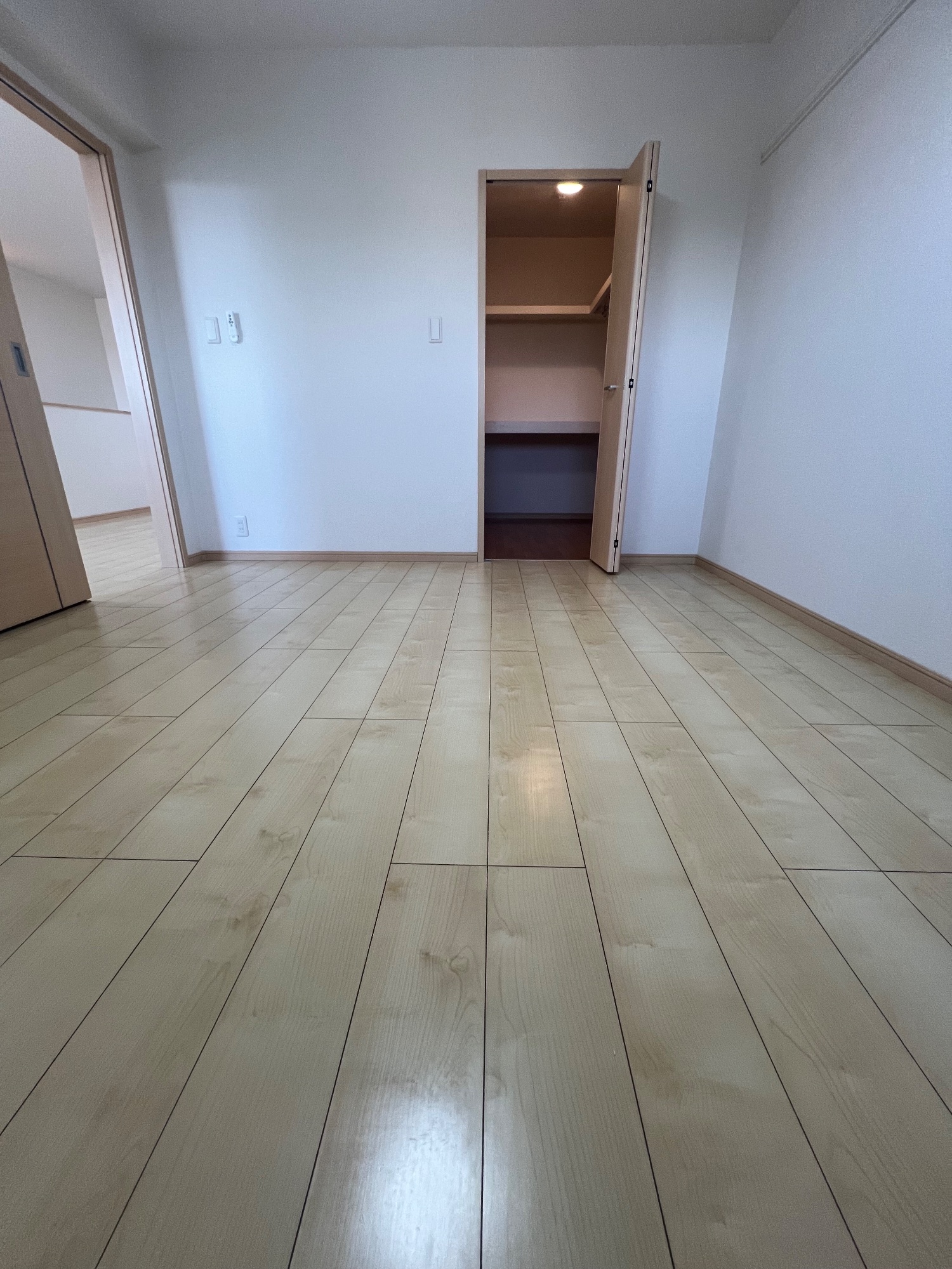 グランデ アルベロ - 画像11